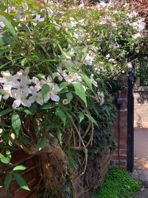 Beautiful Georgian Cottage Within A Private Walled Garden Oakham Luaran gambar
